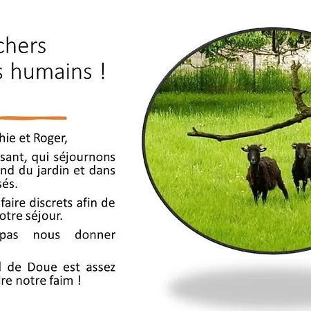 Soleil En Terre De Brie Avec Proche Coulommiers Holiday home